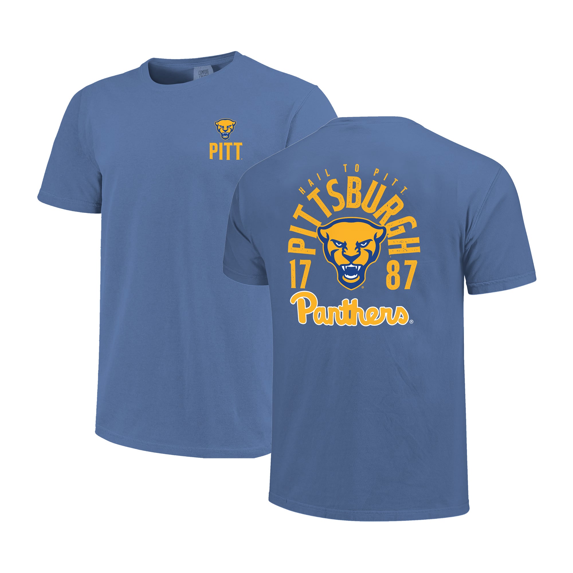 What Are Pitt Colors