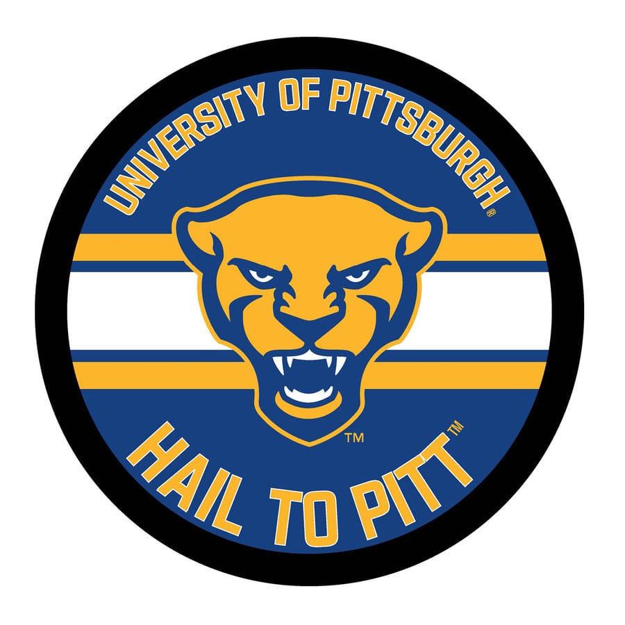 Hail To Pitt Logo Pittsburgh Panthers Slogan Banner 