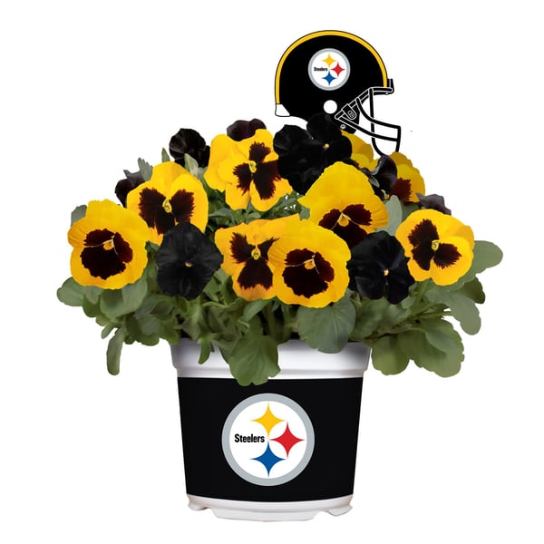 Steelers Roses Pittsburgh Steelers Flower Arrangements | Best Flower Site