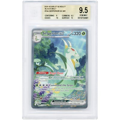 Serperior ex 2025 Pokemon Black Bolt Special Illustration Rare #164 BGS Authenticated 9.5 Card
