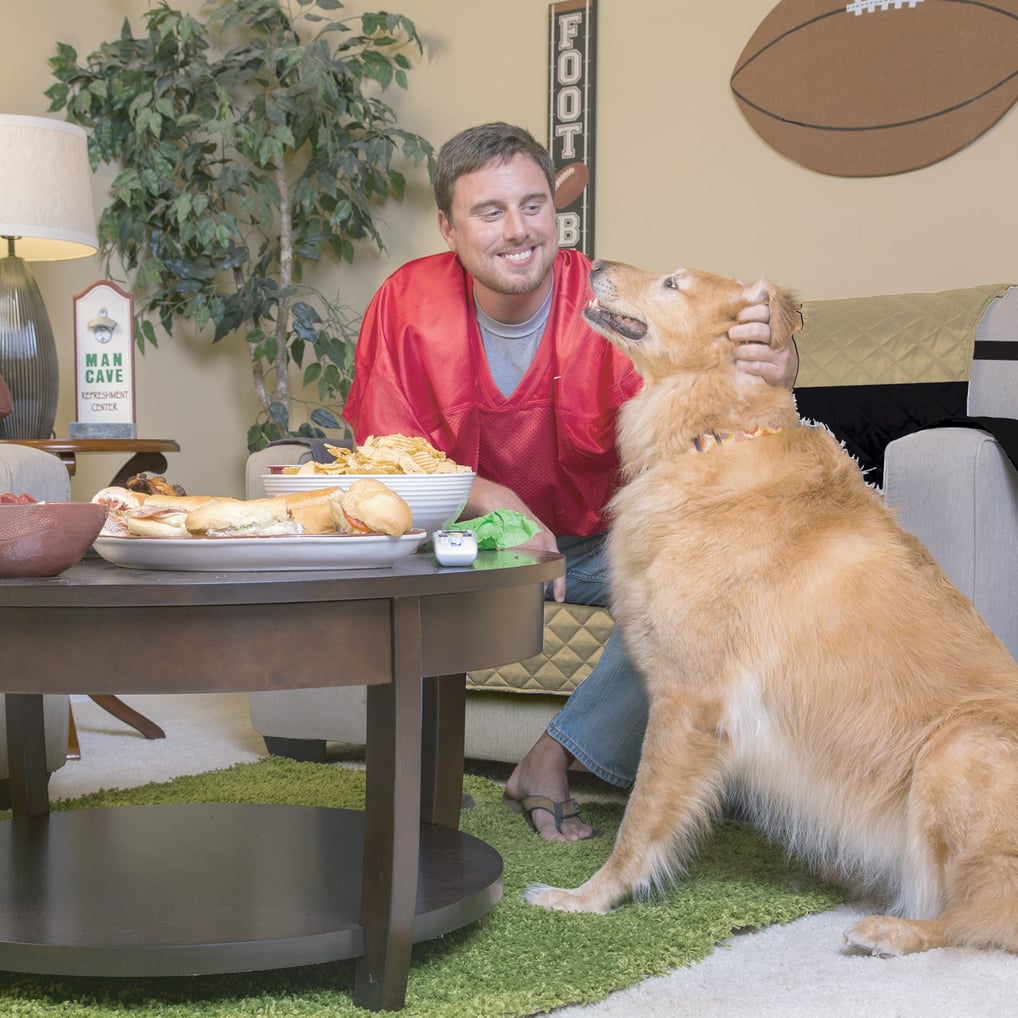 Purdue Boilermakers Pegasus Sofa Protector