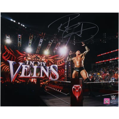 Randy Orton WWE Autographed Fanatics Authentic 16" x 20" Corner Pose Photograph
