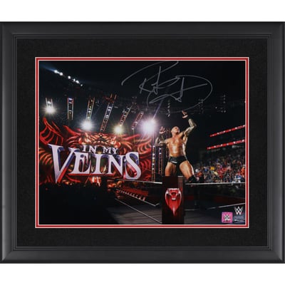 Randy Orton WWE Autographed Fanatics Authentic Framed 16" x 20" Corner Pose Photograph 