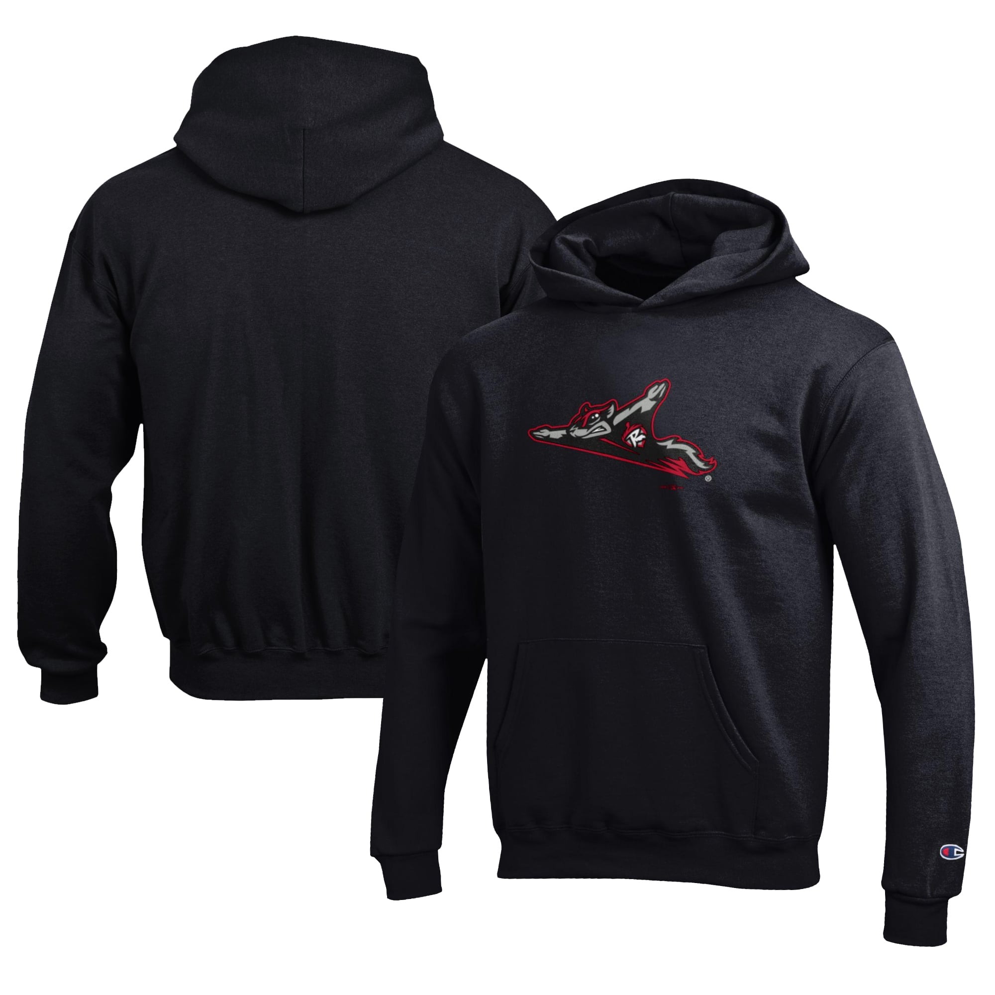 Youth Richmond Flying Squirrels Champion Black Eco Powerblend Pullover ...