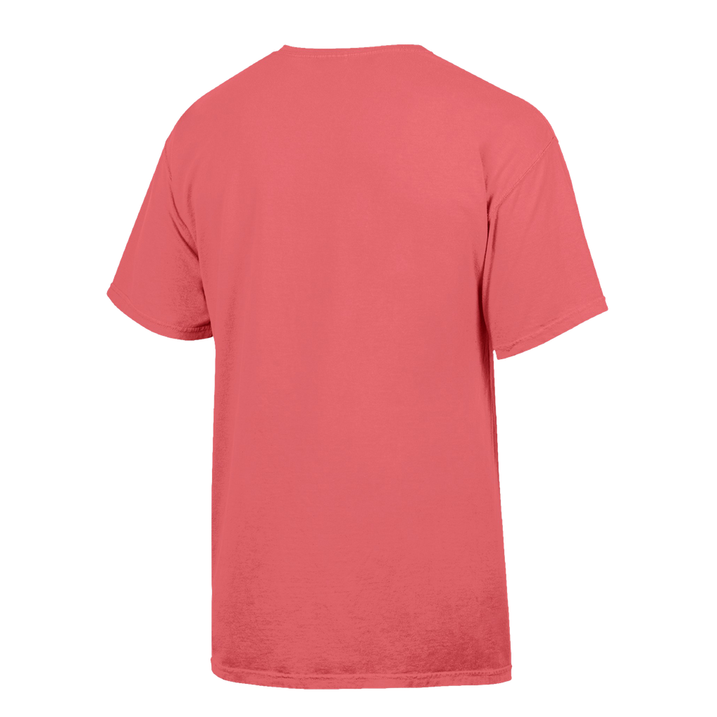 ComfortWash Rutgers Scarlet Knights Men's Pink Distressed Arch T-Shirt