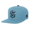 Snapbacks
