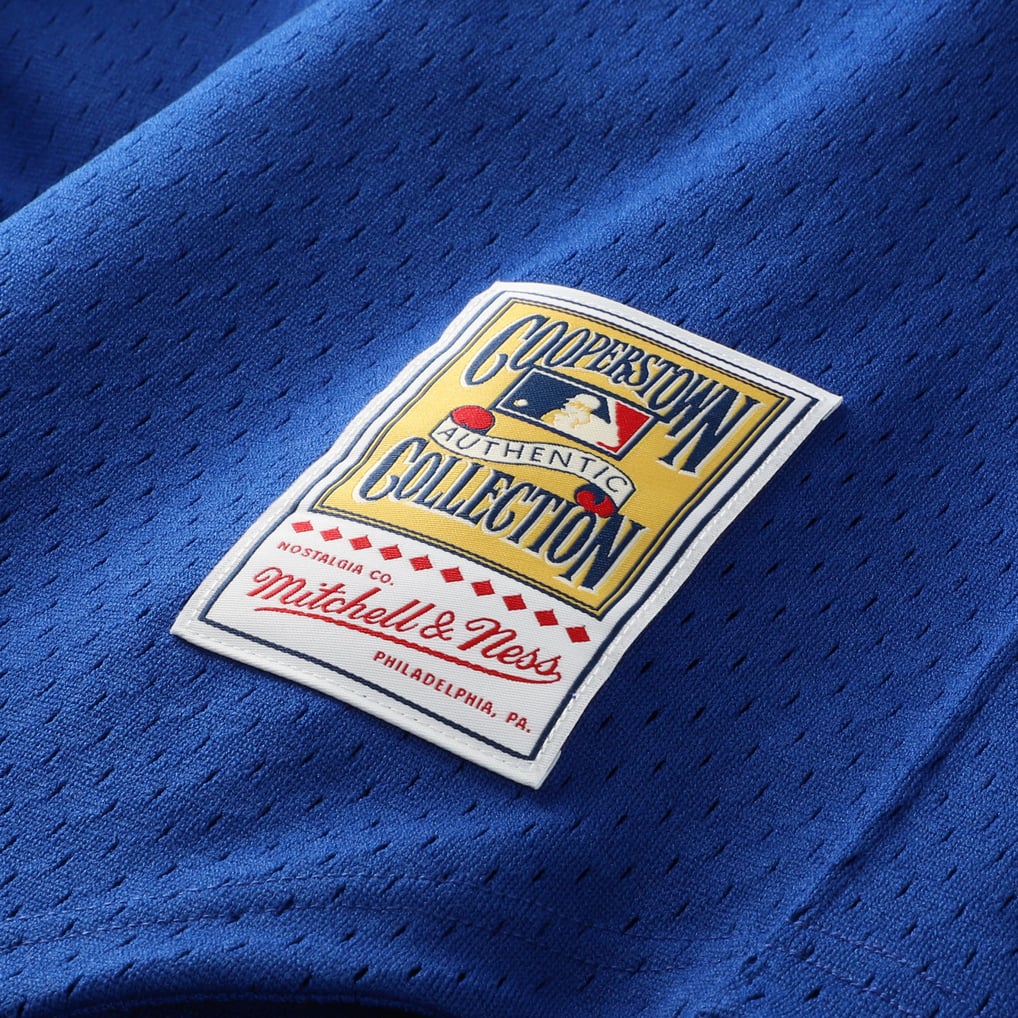 Ken Griffey Jr. Seattle Mariners Mitchell & Ness Big & Tall Cooperstown Collection Mesh Batting Practice Jersey - Royal