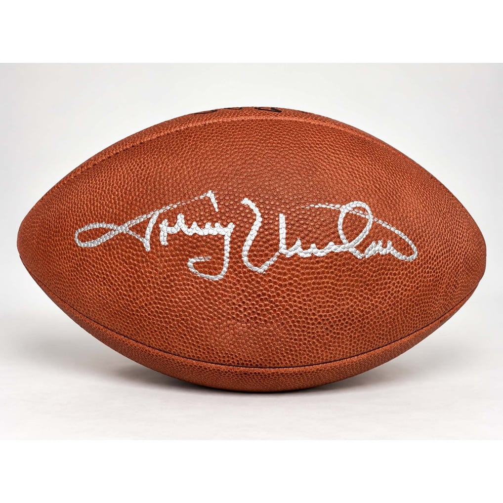 2026 Under Wraps Autographed NFL Footballs - Single Mystery Box