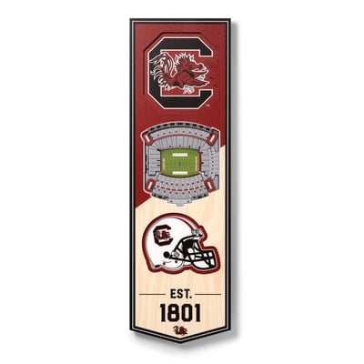 South Carolina Gamecocks Fanpoint 6'' x 19'' 3D StadiumView Banner