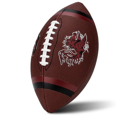 Franklin Sports South Carolina Gamecocks Official 10" Junior Football
