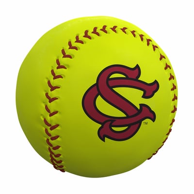 South Carolina Gamecocks Logo Brands Softball