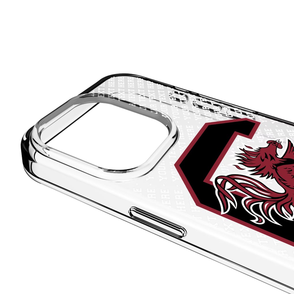 South Carolina Gamecocks Endzone iPhone Personalized Clear Case