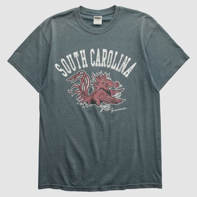 South Carolina Gamecocks Gildan 2010s T-shirt - Gray - S by Fanatics Real Vintage
