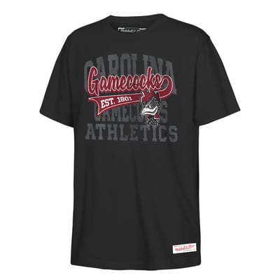 South Carolina Gamecocks Mitchell & Ness Youth Retro Sweeper T-Shirt - Black
