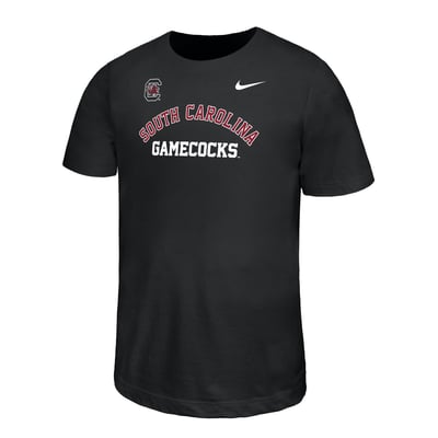  South Carolina Gamecocks Nike Youth Legend Dri-FIT T-Shirt - Black