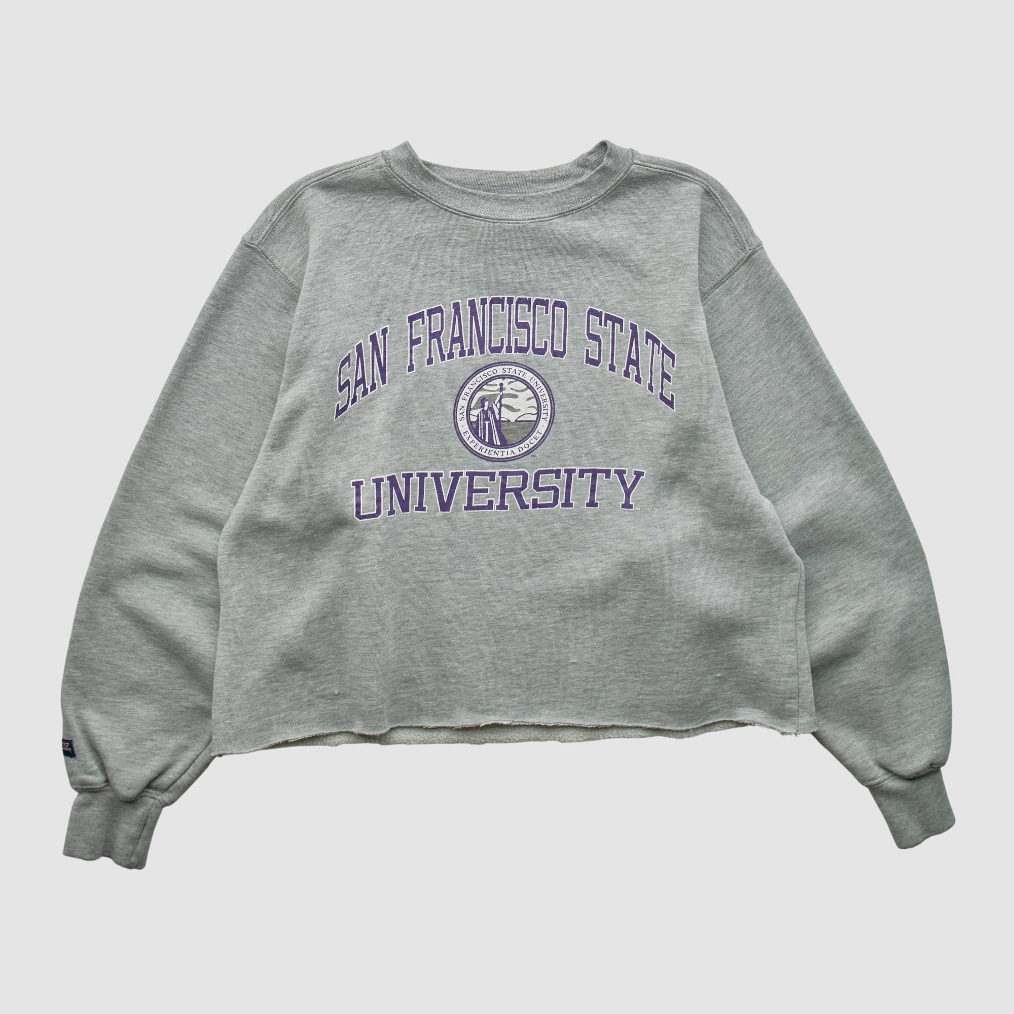 San Francisco State U Gators Jansport 2000s Pullover Sweatshirt - Heather Gray - XS
