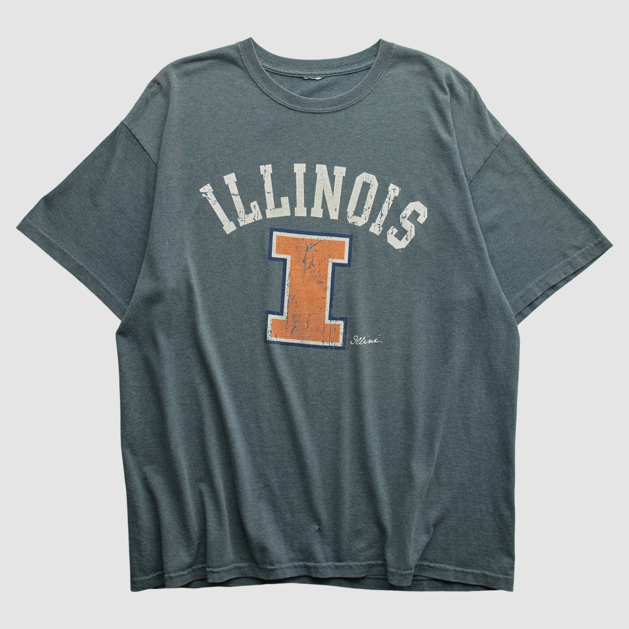 Illinois Fighting Illini 2010s T-shirt - Blue - M
