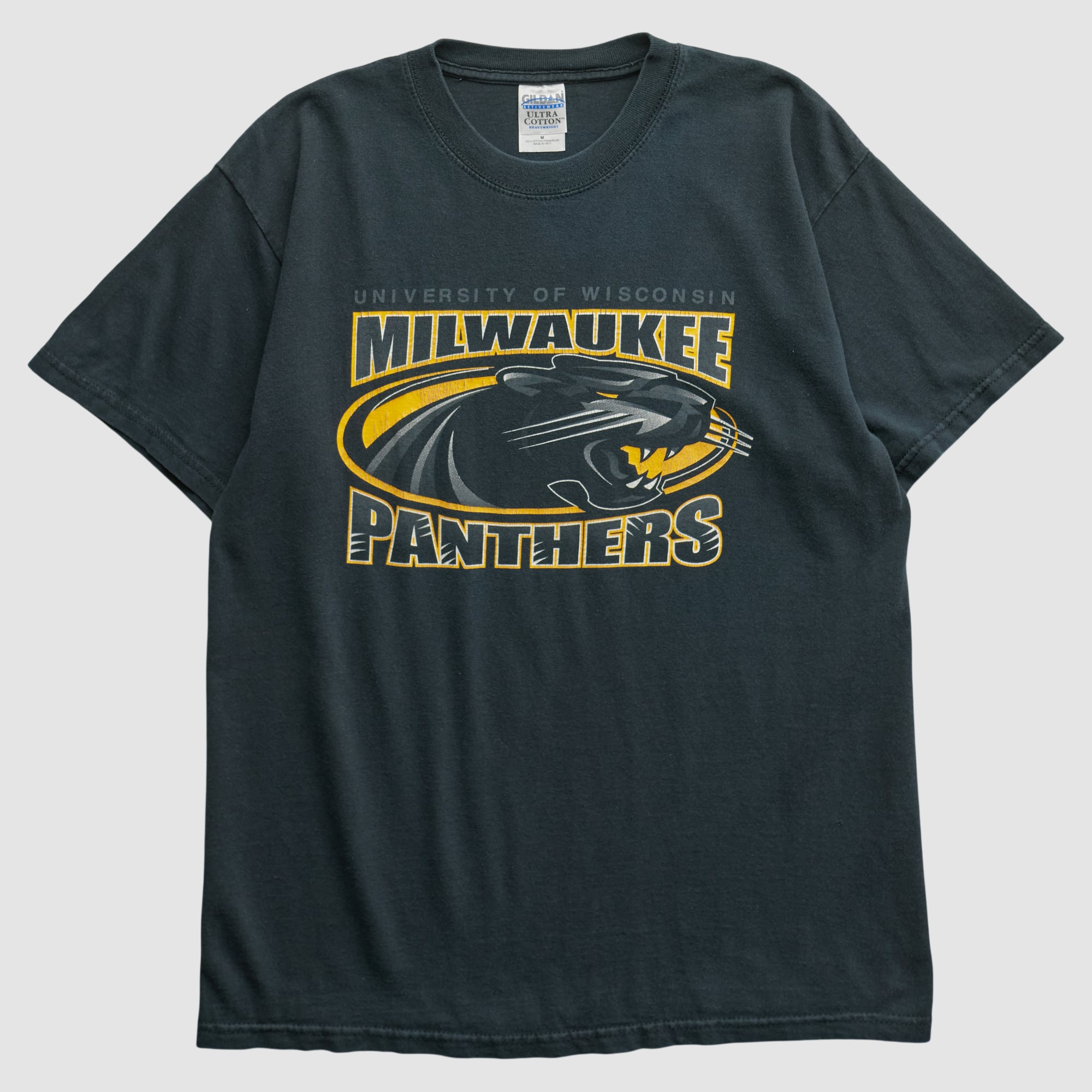 Wisconsin-Milwaukee Panthers Gildan 2000s T-shirt - Black - M