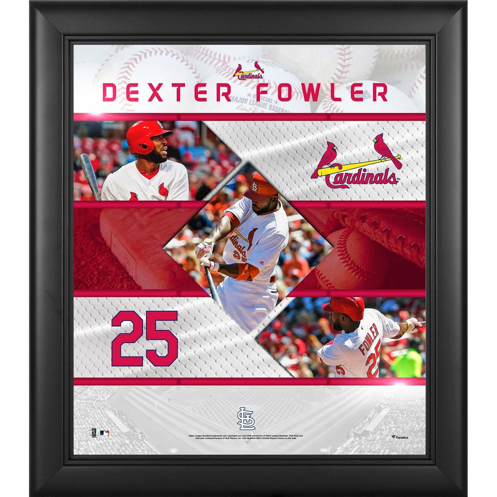 St. Louis Cardinals Dexter Fowler Fanatics Authentic Framed 15" x 17 ...