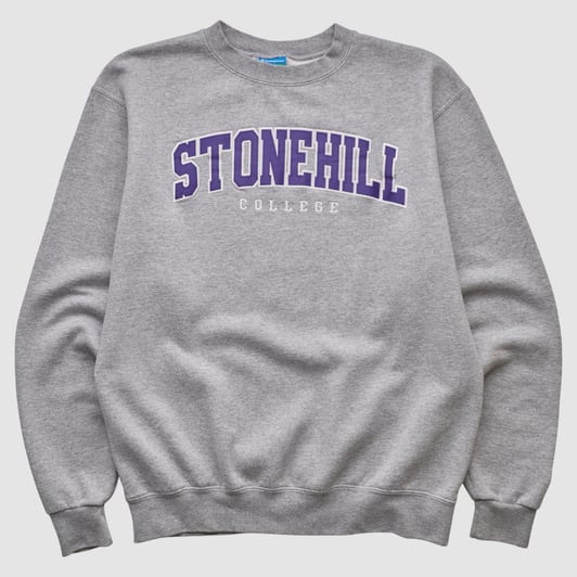 Stonehill Skyhawks Champion 2010s Pullover Sweatshirt - Heather Gray - XS by Fanatics Real Vintage