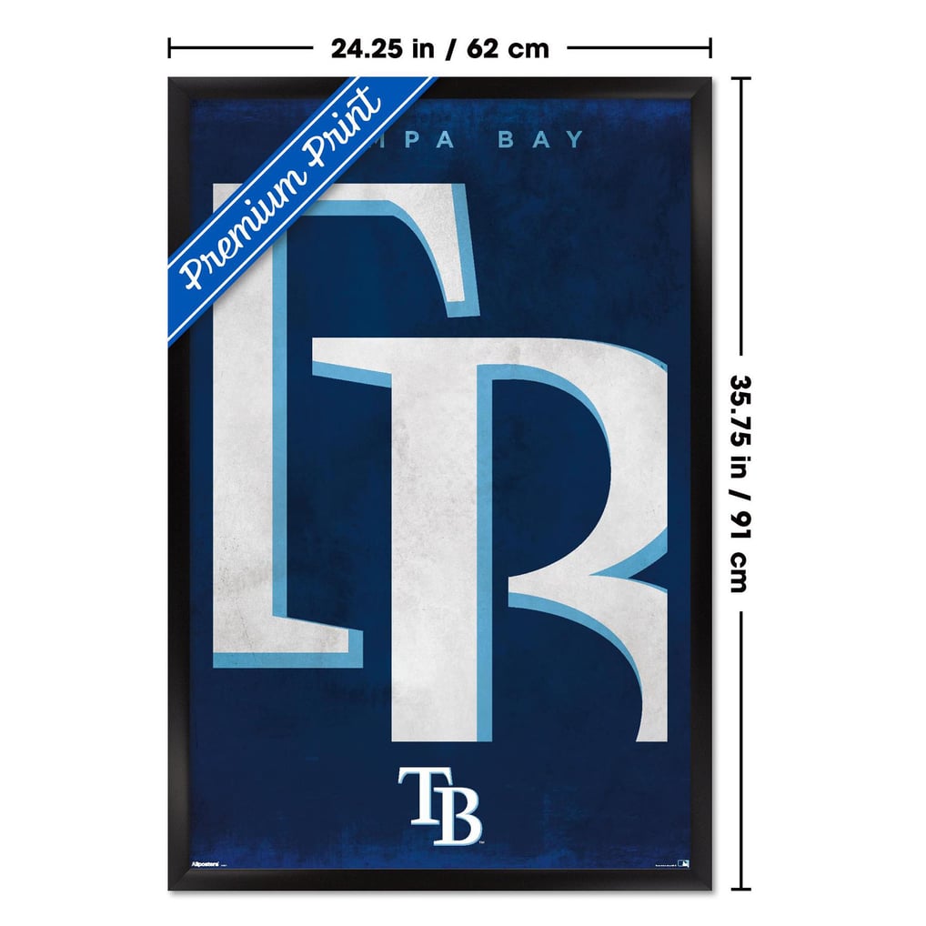  Tampa Bay Rays 24" x 36" Framed Poster