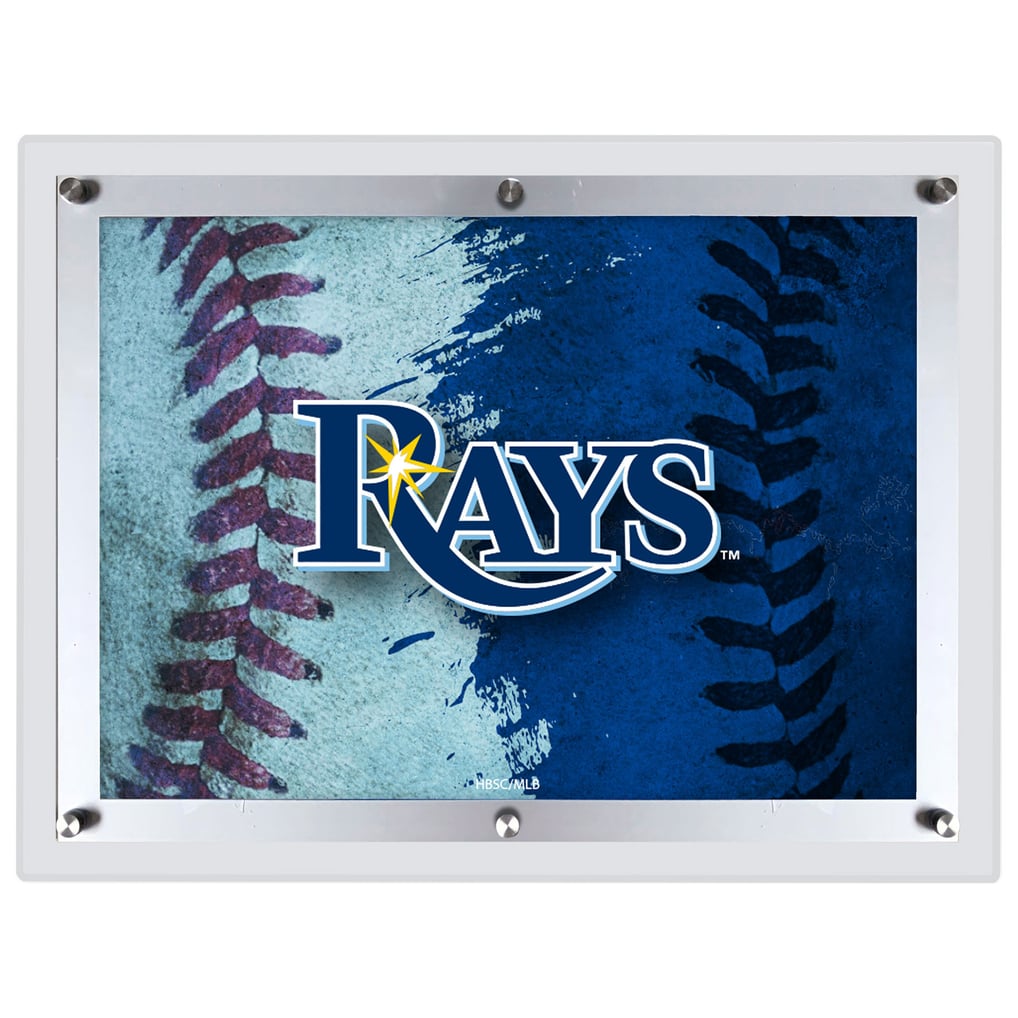 Tampa Bay Rays 19