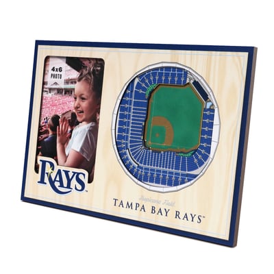 Tampa Bay Rays 3D StadiumView Picture Frame