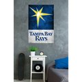 Tb Rays Burst Tampa Bay Rays Burst 22'' x 34'' Players Poster