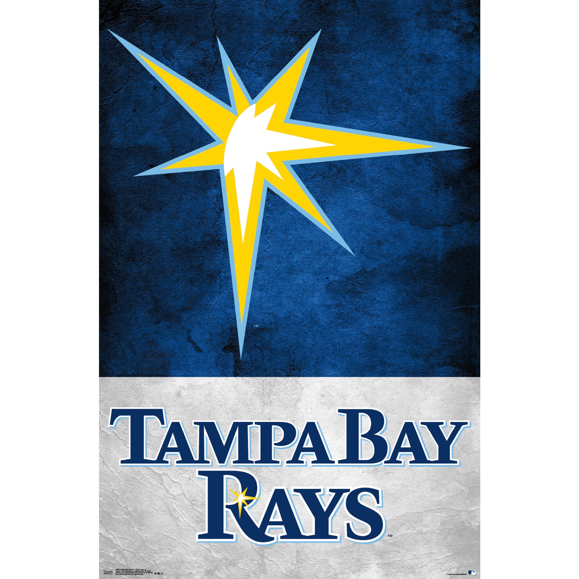 Tb Rays Burst Tampa Bay Rays Burst 22'' x 34'' Players Poster