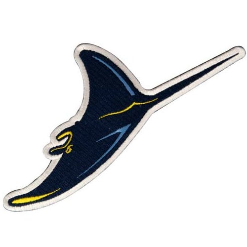 Tampa Bay Rays Embroidered Team Logo Collectible Patch
