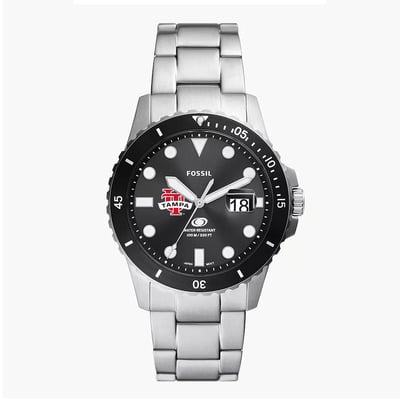 Tampa Spartans Fossil Blue Dive Three-Hand Date Stainless Steel Watch - Silver