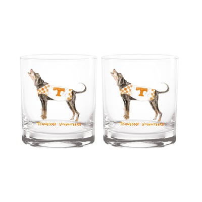  Tennessee Volunteers Indigo Falls Laura Wilcox Mascot Two-Piece 14oz. Rocks Glass Set