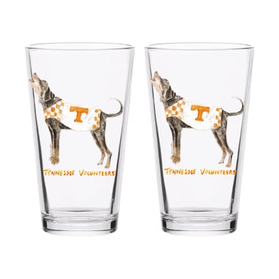  Tennessee Volunteers Indigo Falls Laura Wilcox Mascot Two-Piece 16oz. Pint Glass Set