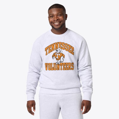Tennessee Volunteers Homage Unisex Vintage Smokey Arch Tri-Blend Sweatshirt - Ash