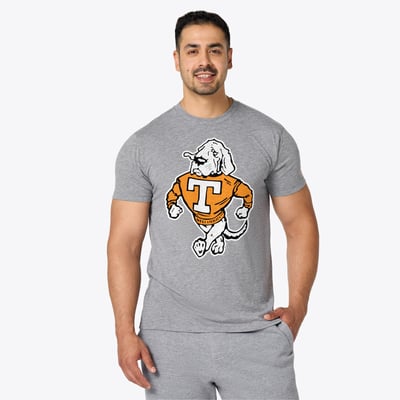 Tennessee Volunteers Homage Unisex Vintage Smokey Tri-Blend T-Shirt - Gray