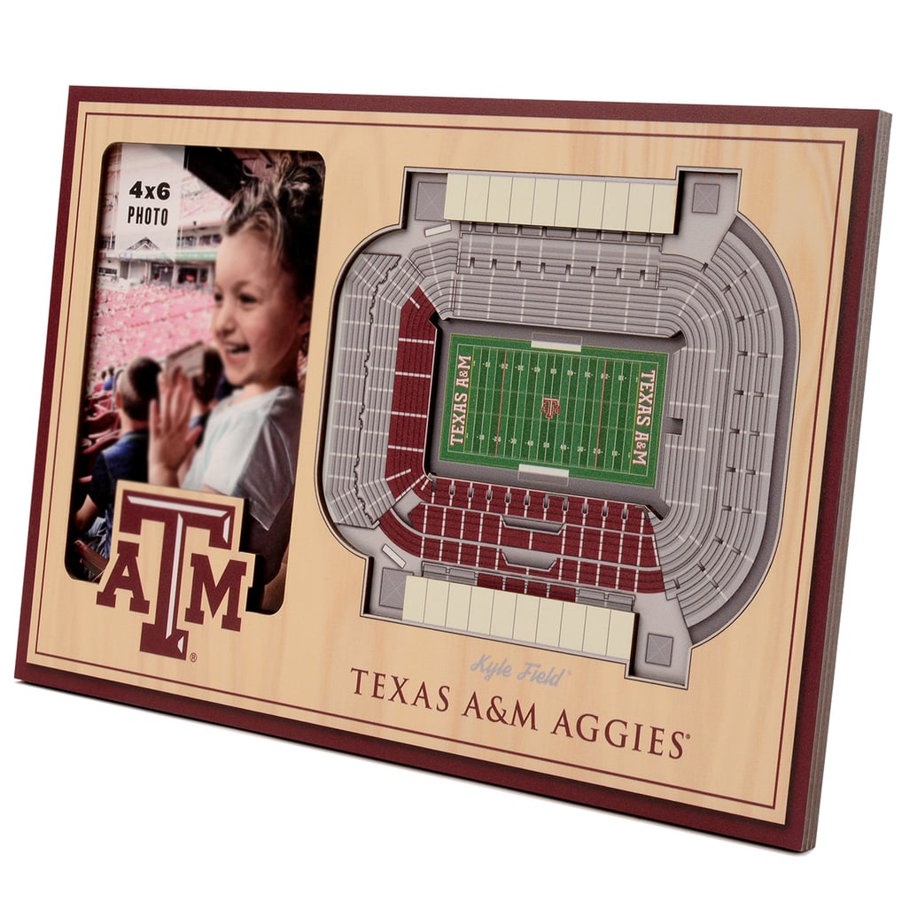 Texas A&M Aggies IDNA 3D StadiumViews Picture Frame