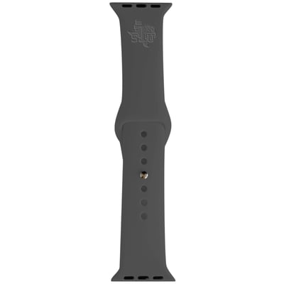Texas Southern Tigers 42-44mm Apple Watch Band - Gray
