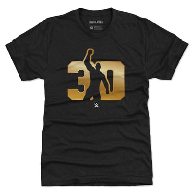 The Rock 500 Level 30 Years Logo Premium Tri-Blend T-Shirt - Black