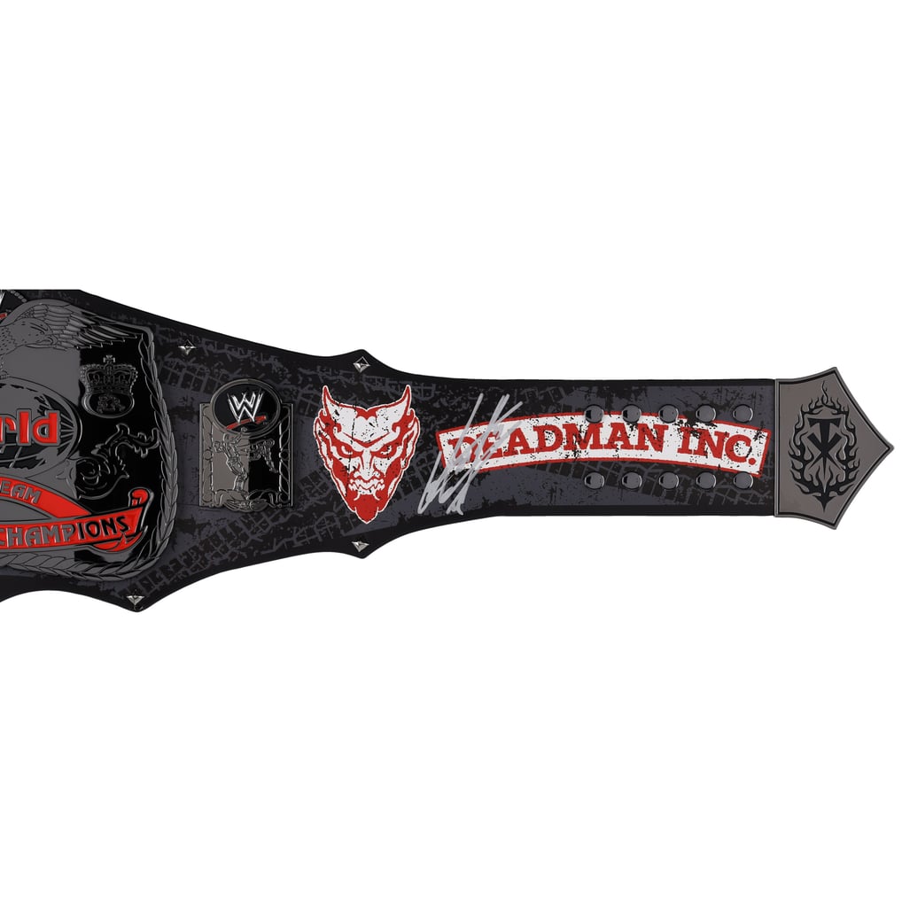 The Undertaker and Kane WWE Autographed Fanatics Authentic  display picture 1
