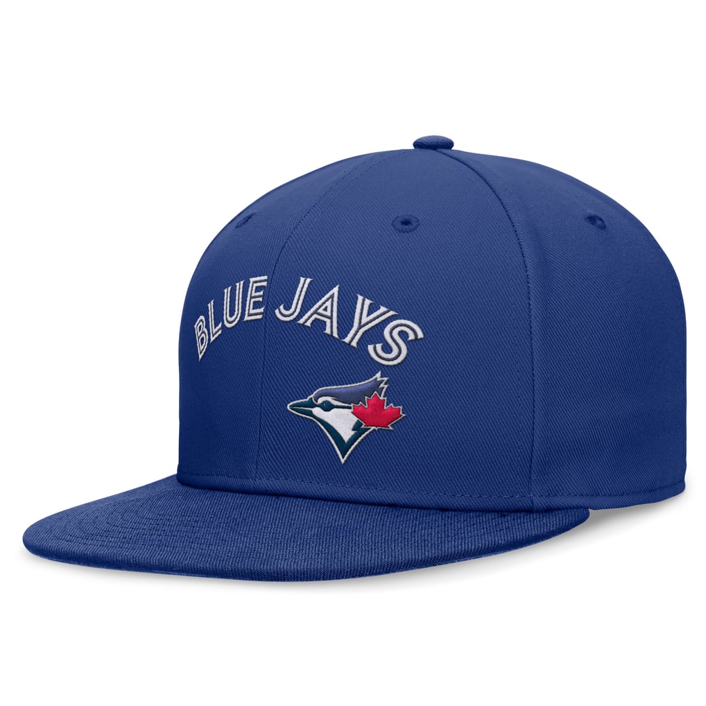 Men's Toronto Blue Jays Nike Royal Performance Fitted Hat