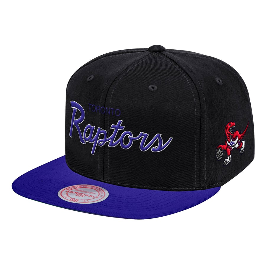 Eastern Raptors Hat Men's Toronto Raptors Mitchell & Ness Black Hardwood Classics MVP Team ...