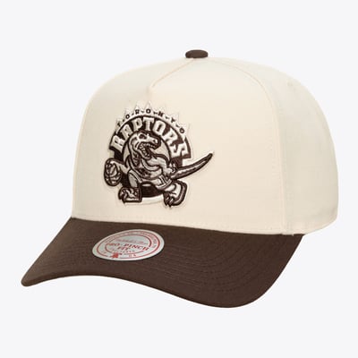 Toronto Raptors Mitchell & Ness Brown and Cream Pro Pinch Snapback Hat - Cream