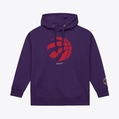  Toronto Raptors Mitchell & Ness Basic Fleece Hoodie - Purple
