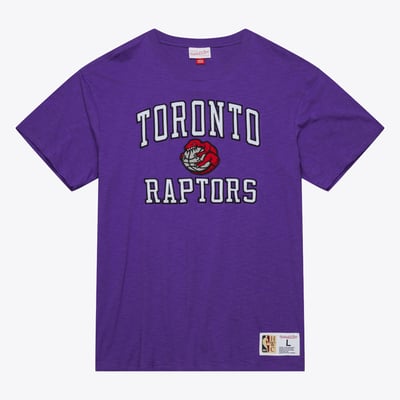  Toronto Raptors Mitchell & Ness Hardwood Classics Legendary Slub T-Shirt - Purple