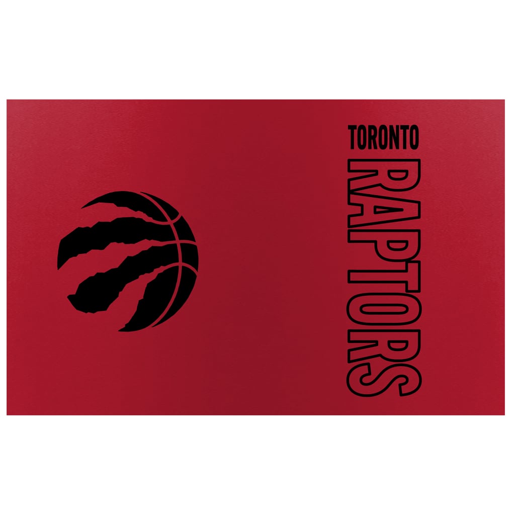 Toronto Raptors 32oz. Double Play Hydration Bottle