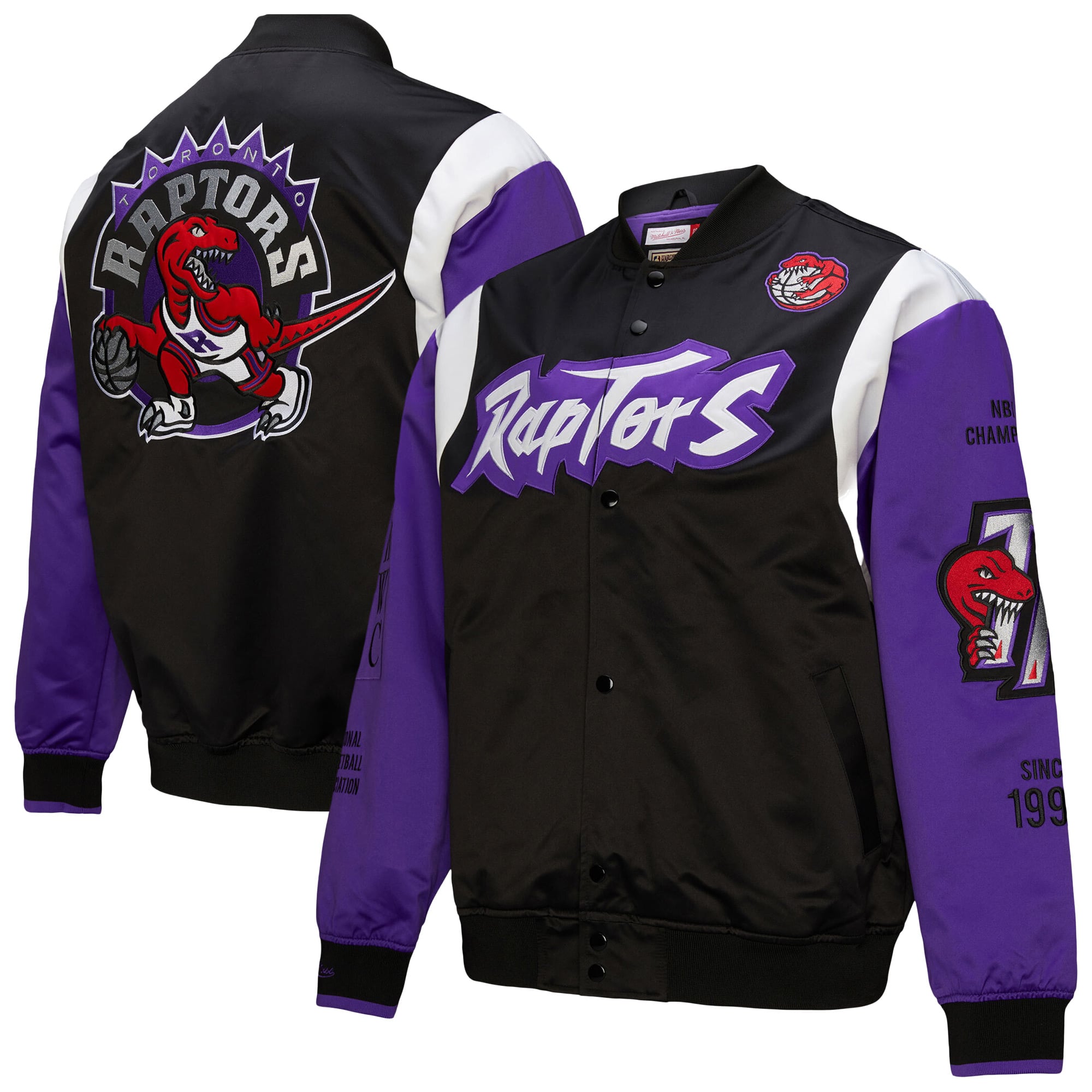 Toronto Raptors Mitchell & Ness Unisex Vintage Team Origins Satin 