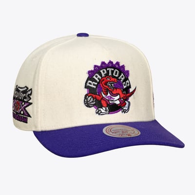 Toronto Raptors Mitchell & Ness Unisex Cream Team Pro Adjustable Hat - Cream
