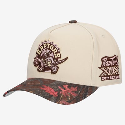  Toronto Raptors Mitchell & Ness Unisex Hardwood Classics Fall Pink Pro Snapback Hat - Cream
