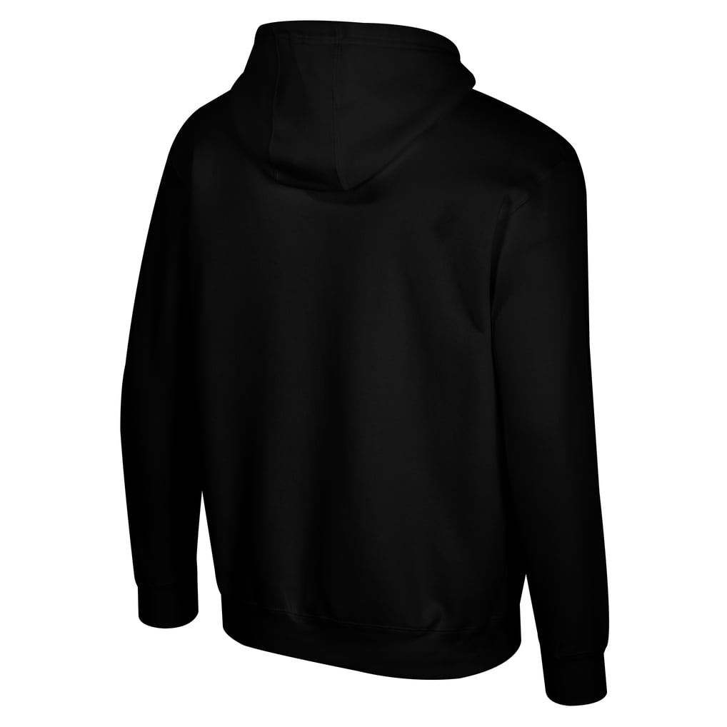  Toronto Tempo Stadium Essentials Unisex Primary Logo Pullover Hoodie - Black