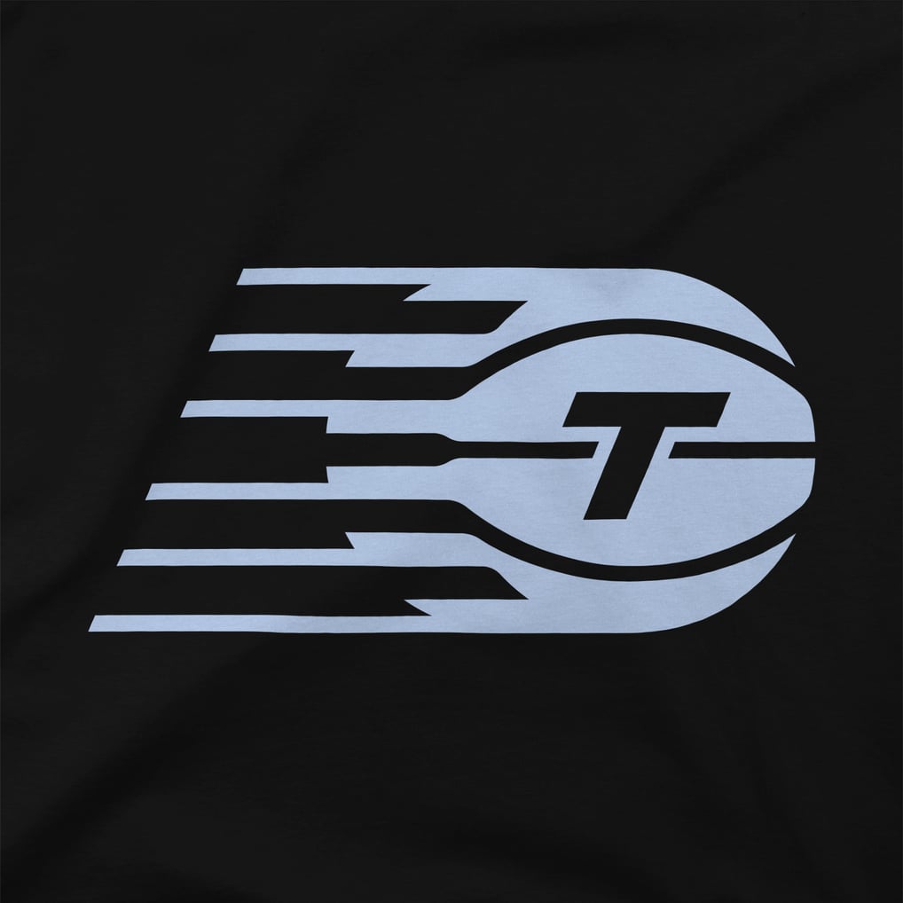  Toronto Tempo Stadium Essentials Unisex Primary Logo Pullover Hoodie - Black